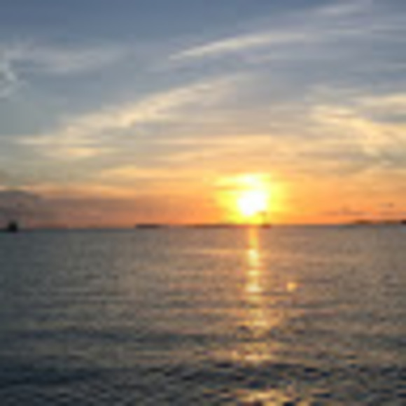 Meet your Posher, Roderick - Picture 1 of 1